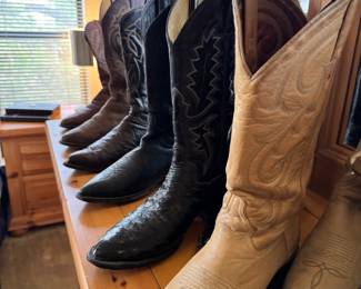 Men's Boots (Most size 9.5) (Luchesse, Tony Llama, and more)