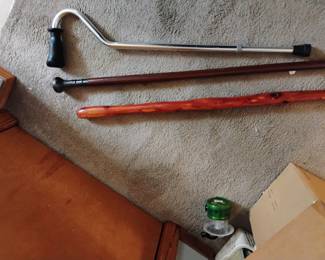 walking sticks