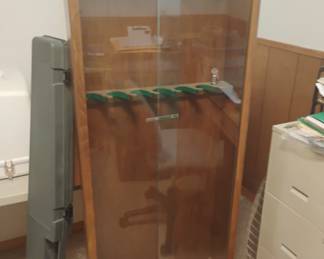 Same gun case
