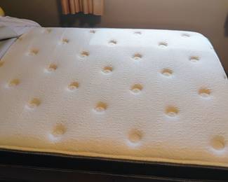 Adjustable lift bed bike new twin size