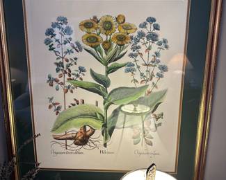 Framed botanical print