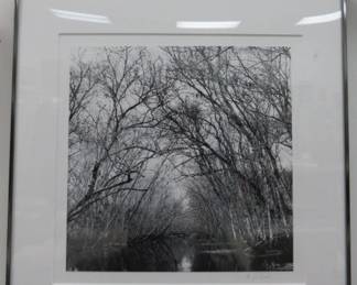 Lee Dunkel St. Johns Hontoon Logging Photograph
