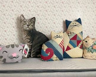 51 Feline Friendsmin