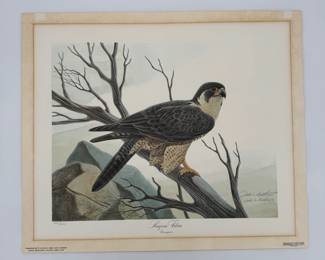 Lot - 51
1979 S/N John A. Ruthven Peregrine Falcon Litho LE 116/600