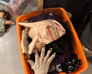 Halloween decor and costumes