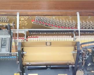 Player piano mechanism