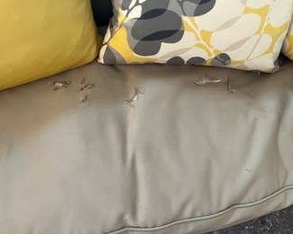 rips on the cushion - rips are on both sides.