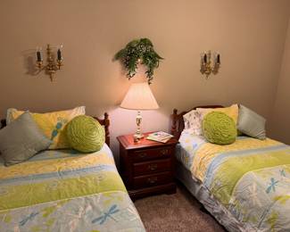 Dragon flies and bright colors!