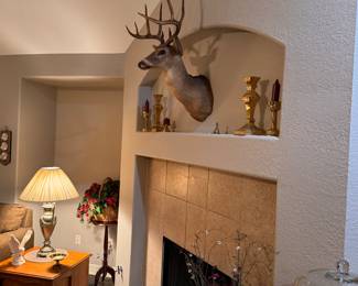 Everyone needs a deer trophy!  