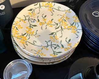 C71 -  $25 Set Melamine Plates from Target. 
