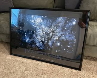 C25 - $15. Imagination Poster. Framed Poster measures 37" x 25"