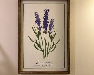 C47 - $10 Lavender Framed Print. 