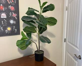 C7 - $10. Faux Fiddle Leaf Fig. Measures 36" tall. 