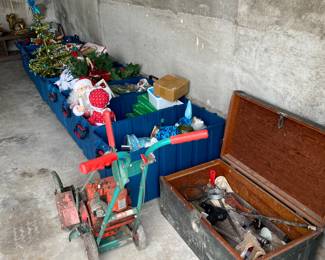 Lawnmower and Christmas items in tubs