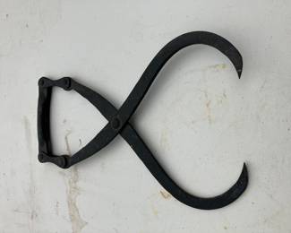 Ice tongs
