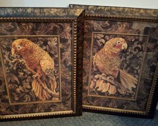Parrot pics