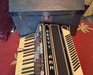 Accordion with case