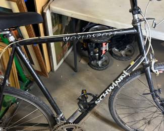 Schwinn world sport