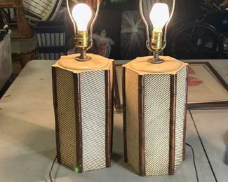 Twin lamps