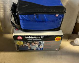 Portable cooler