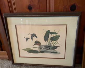 FRAMED WOOD DUCK PICTURE