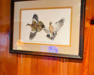 “THE WHITEWING DOVE” HAND COLORED BY TEXAS ARTIST CHARLES BECKENDORF