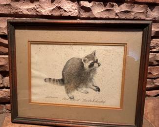 “THE RACCOON” HAND COLORED BY TEXAS ARTIST CHARLES BECKENDORF