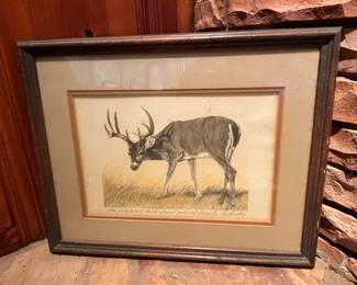 “THE WHITETAIL BUCK” HAND COLORED BY TEXAS ARTIST CHARLES BECKENDORF
