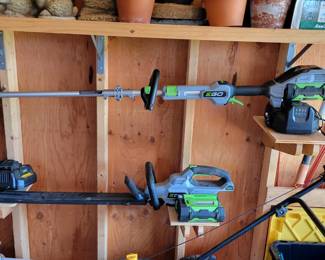 EGO hedge trimmer and weed whip.