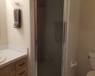 Shower door
