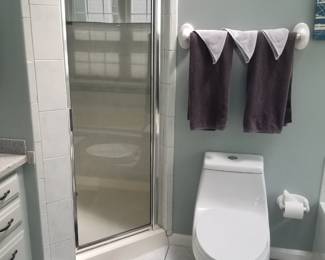 Glass shower door