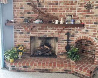 Gas fireplace insert with remote; shore decor