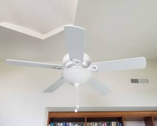 Illuminated ceiling fan