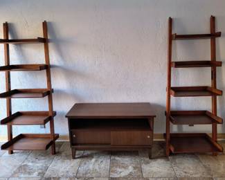 Ladder type shelving units