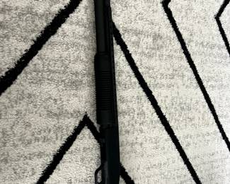 Mossberg home defense shotgun