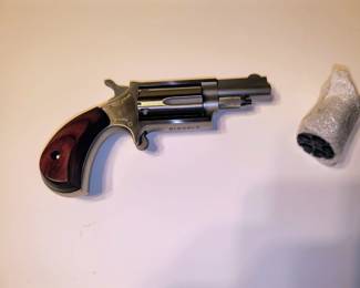 22 mag and 22 LR