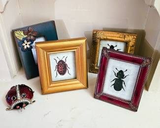 Bugs!