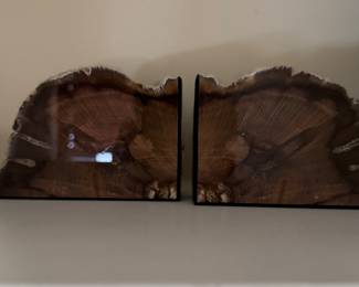 Petrified Wood Bookends.