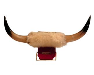 bull horns