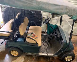TW223VA1 Golf Car
