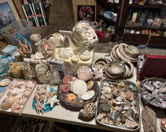 Awesome collection of sea shells, abalone, Amethyst, and more…if you use shells to decorate, we have a great collection of shells!