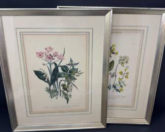 68 PairofVintageBotanicalPrintsPrimrosesOtherFlowersFramed