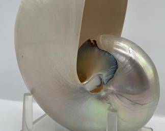 Lot 11 | Pearl Nautilus Shell on Lucite Stand w 2 burr
