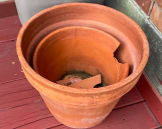 Assorted Flowerpots
