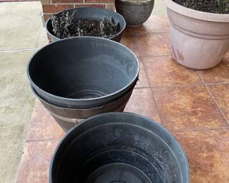 Potted Plants in Need of Tender Care after Last Freeze