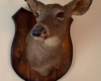 Brag to your friends that you hunted it. We even have the hide!