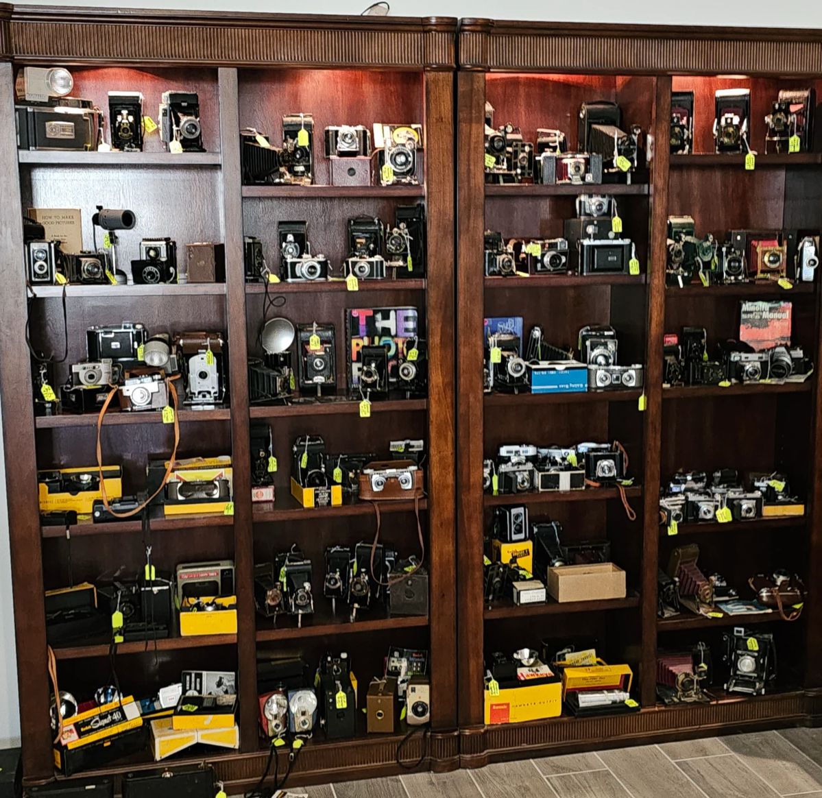Over 250 vintage cameras