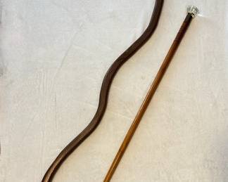 Walking sticks