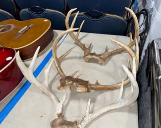Antlers Orlando Estate Auction