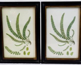 722 - Pair Mary Carol Framed Art - 10.5" x 7"
